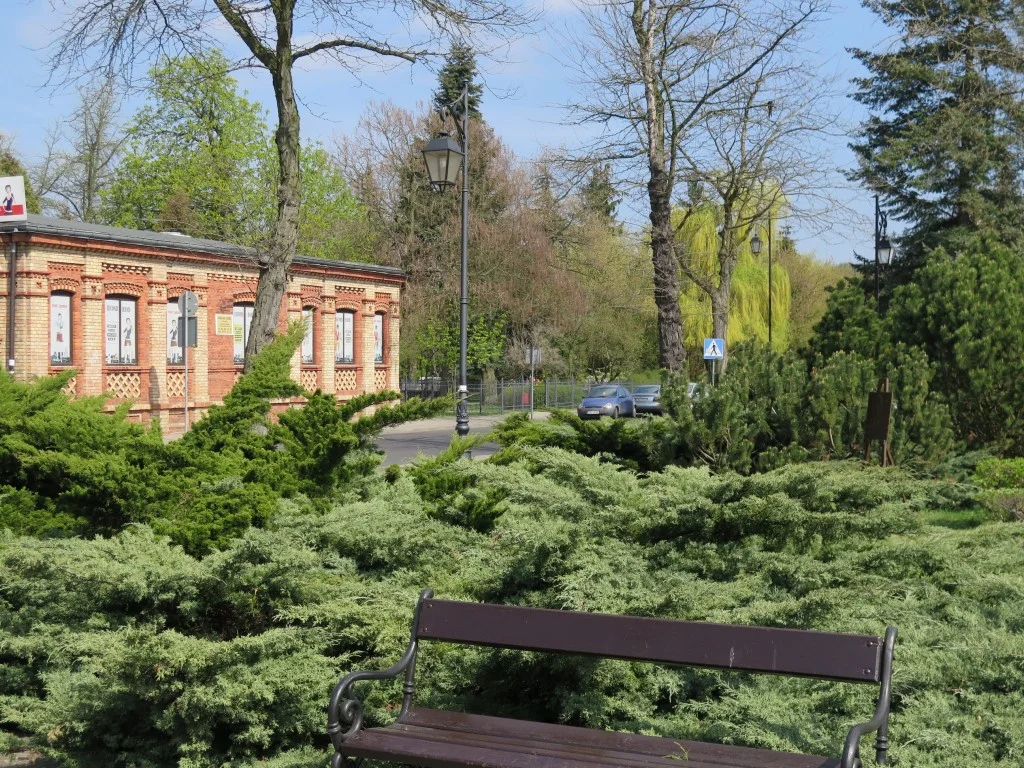 Villa Palinka - zdjęcie 59