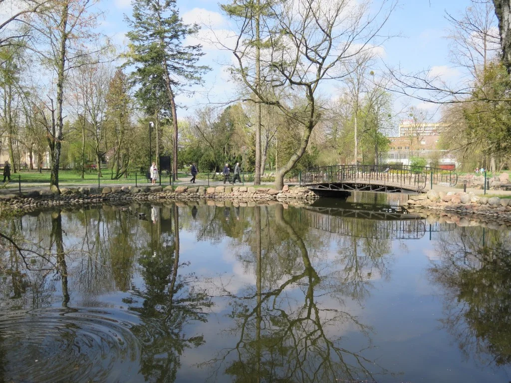 Villa Palinka - zdjęcie 67